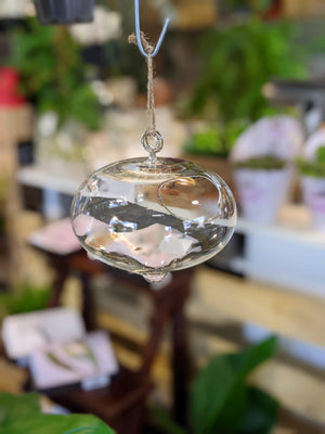 Terrarium floating glass pot vessel - That Plant Shop