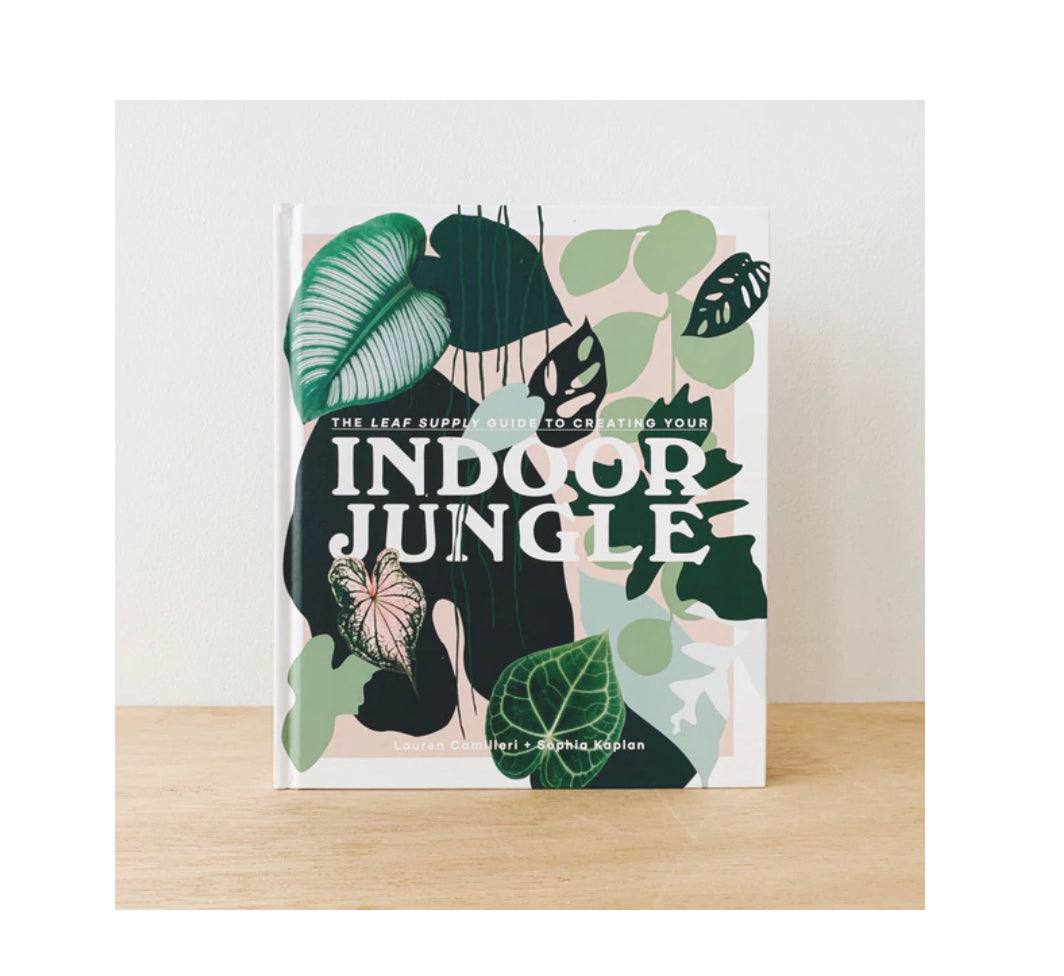 Leaf supply guide to creating indoor jungle
