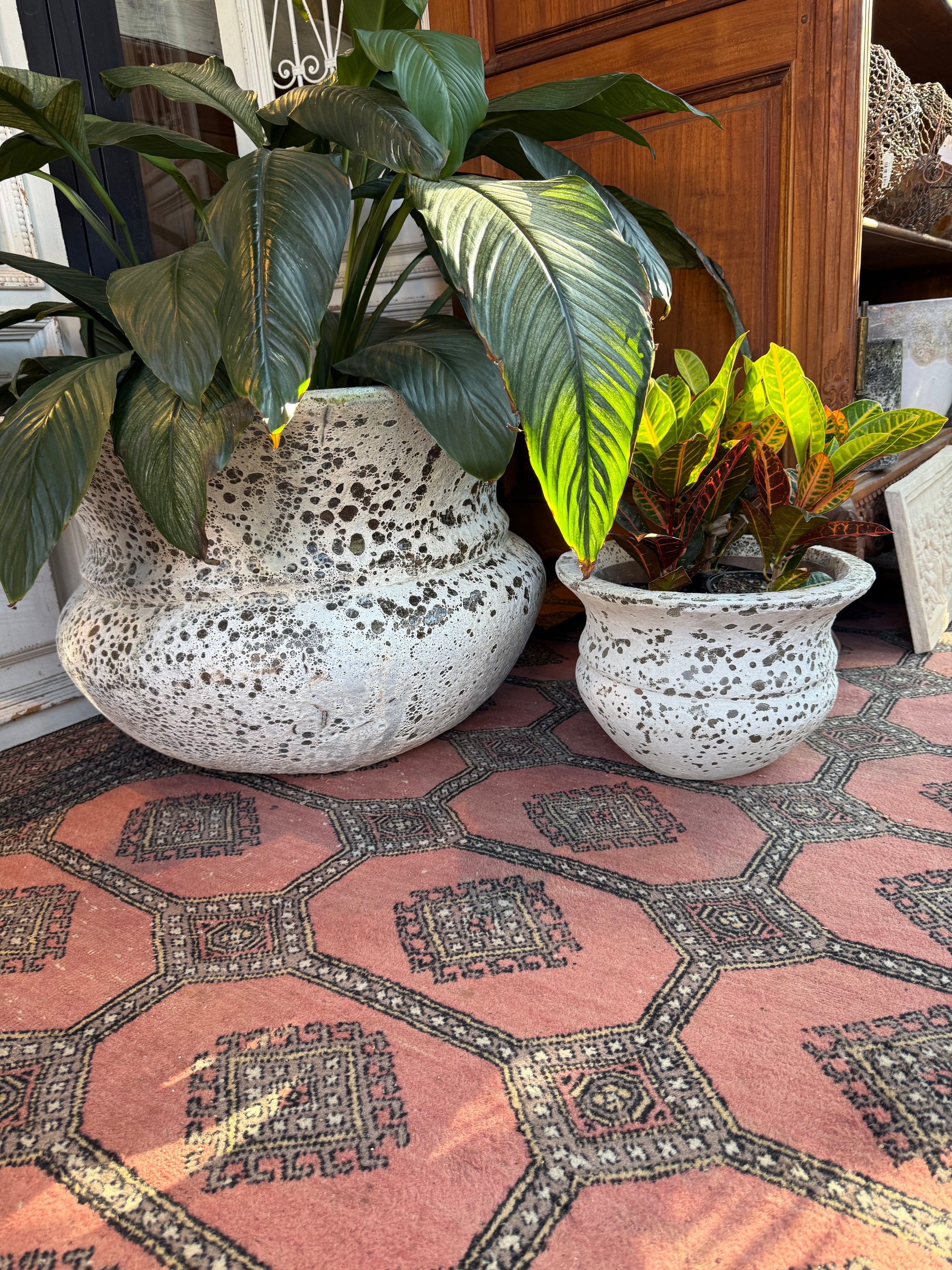 Le Moiselle Pots