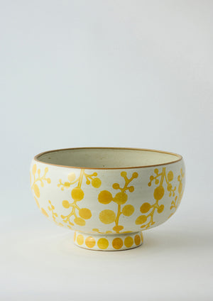 Angus and Celeste Botanica Bowl pots