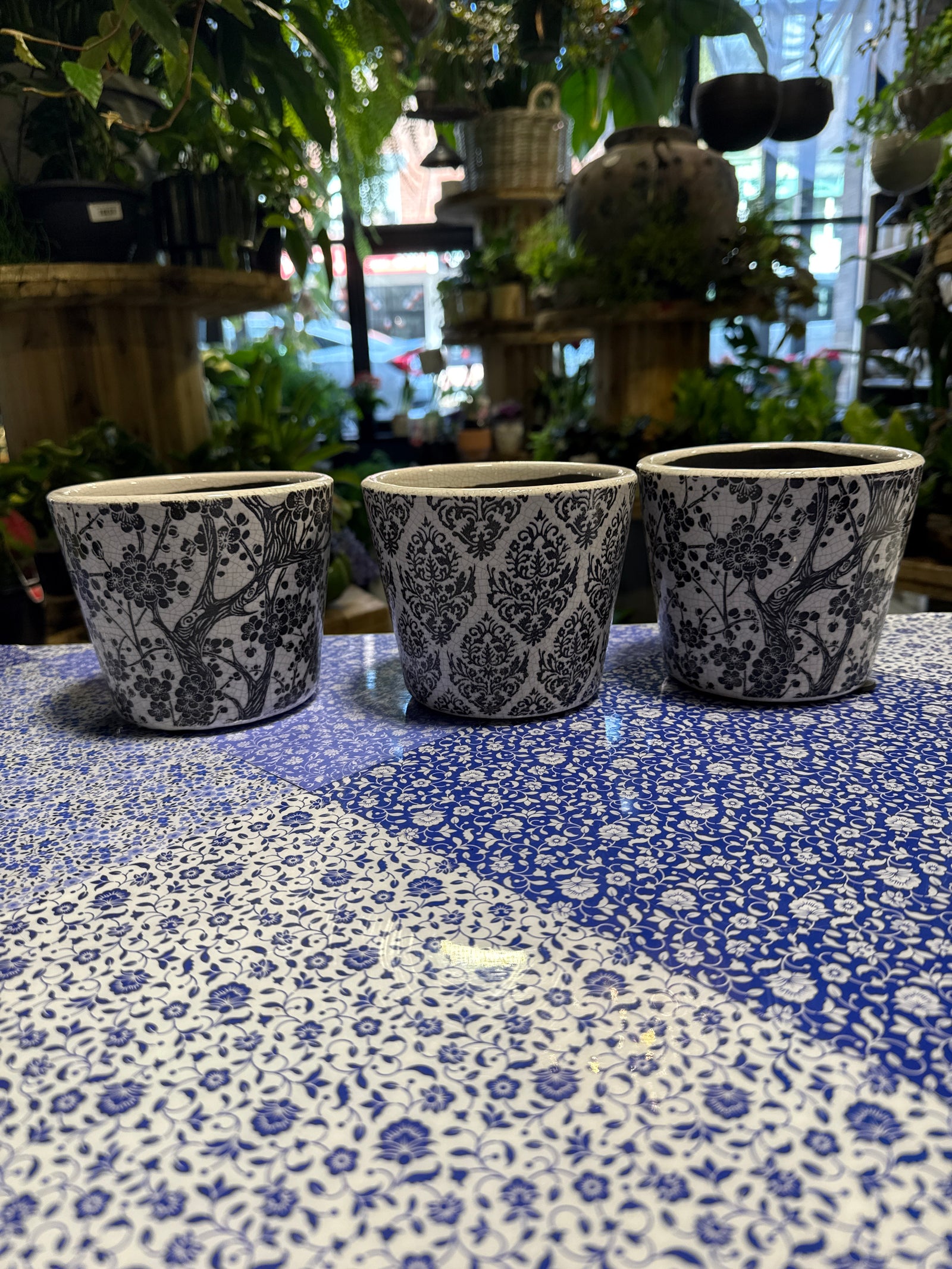 Night Garden Pots