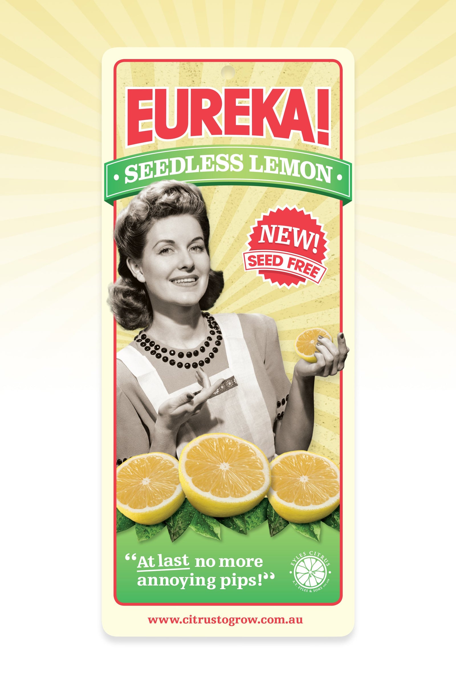 Seedless Eureka Lemon Tree