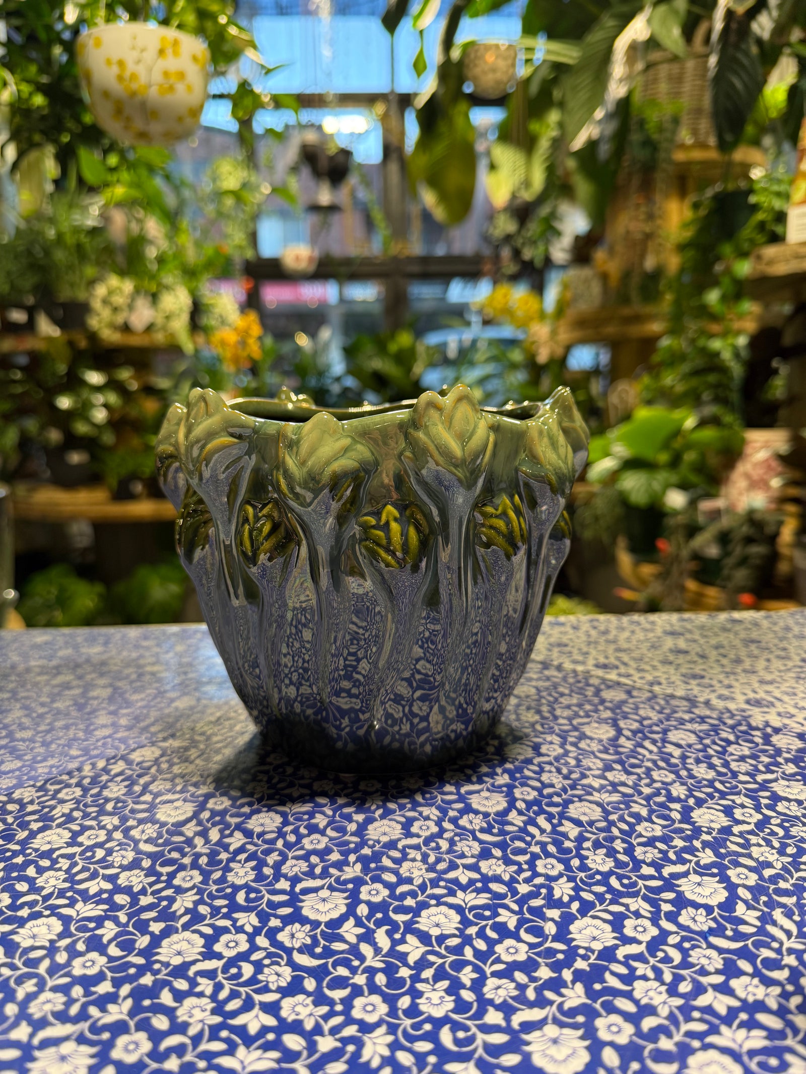 Asparagus Pot