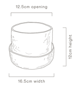 Angus & Celeste Organic Planter