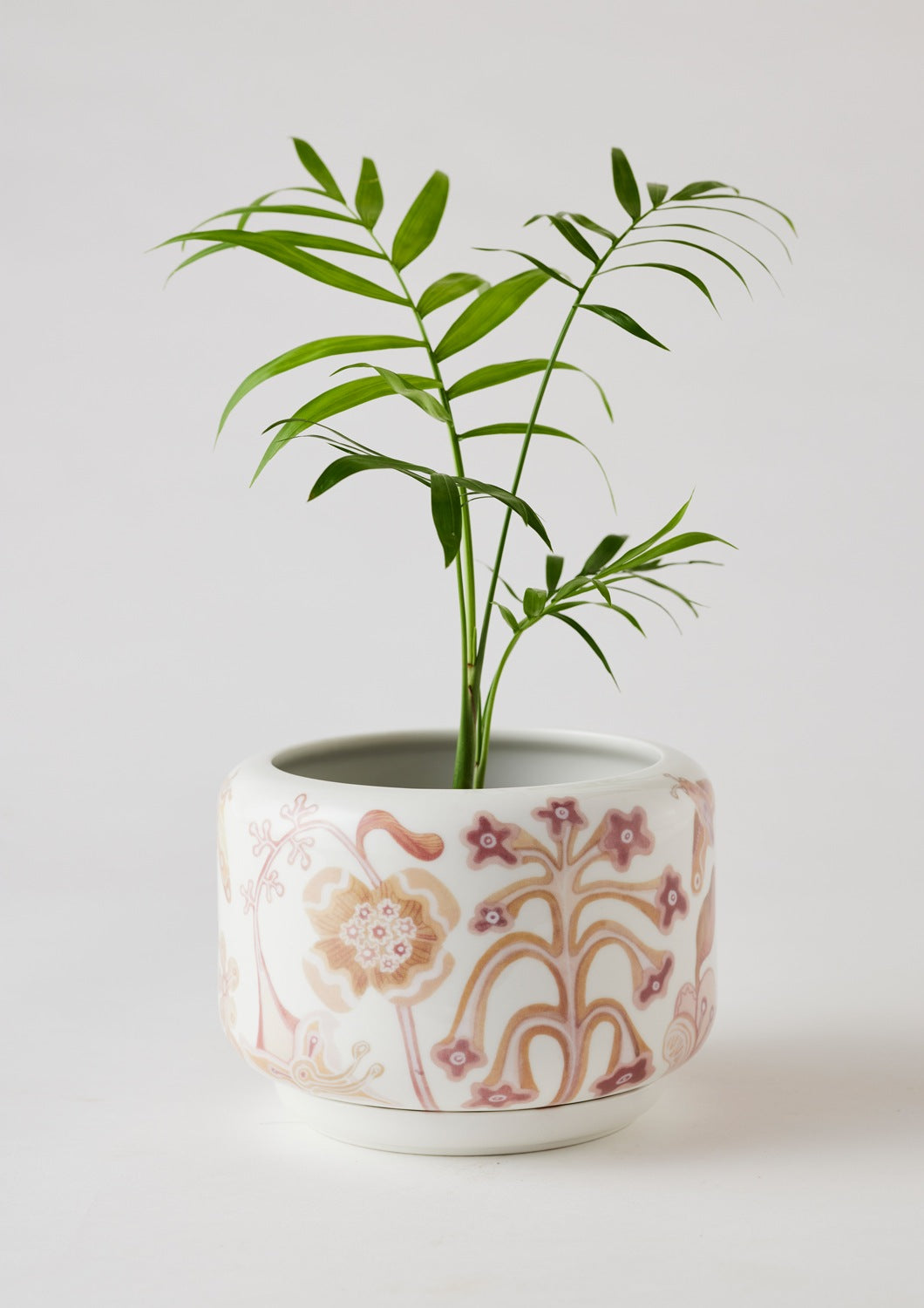 Angus & Celeste Bohemian Succulent Pot