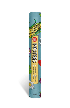 Little Veggie Patch Co - Planting Calendar