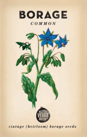 Little Veggie Patch Co - Borage 'Common' Heirloom seeds