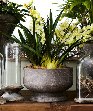 Orchid Urn