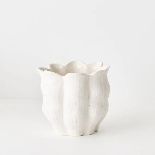 Organic Orchid Pot
