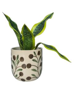 Puglia Olive Pot