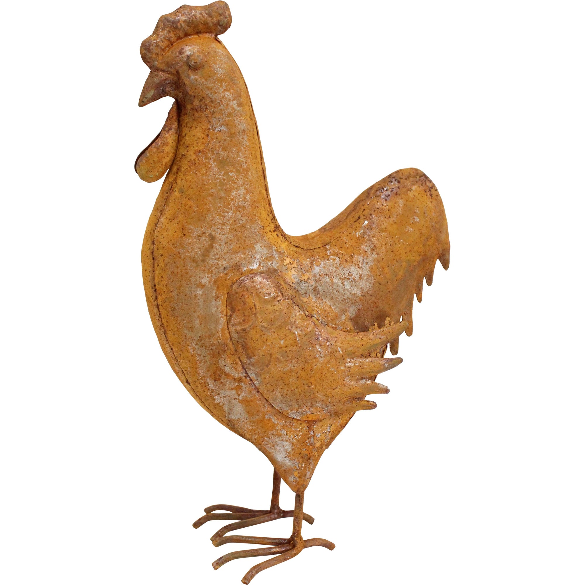 Rooster Little