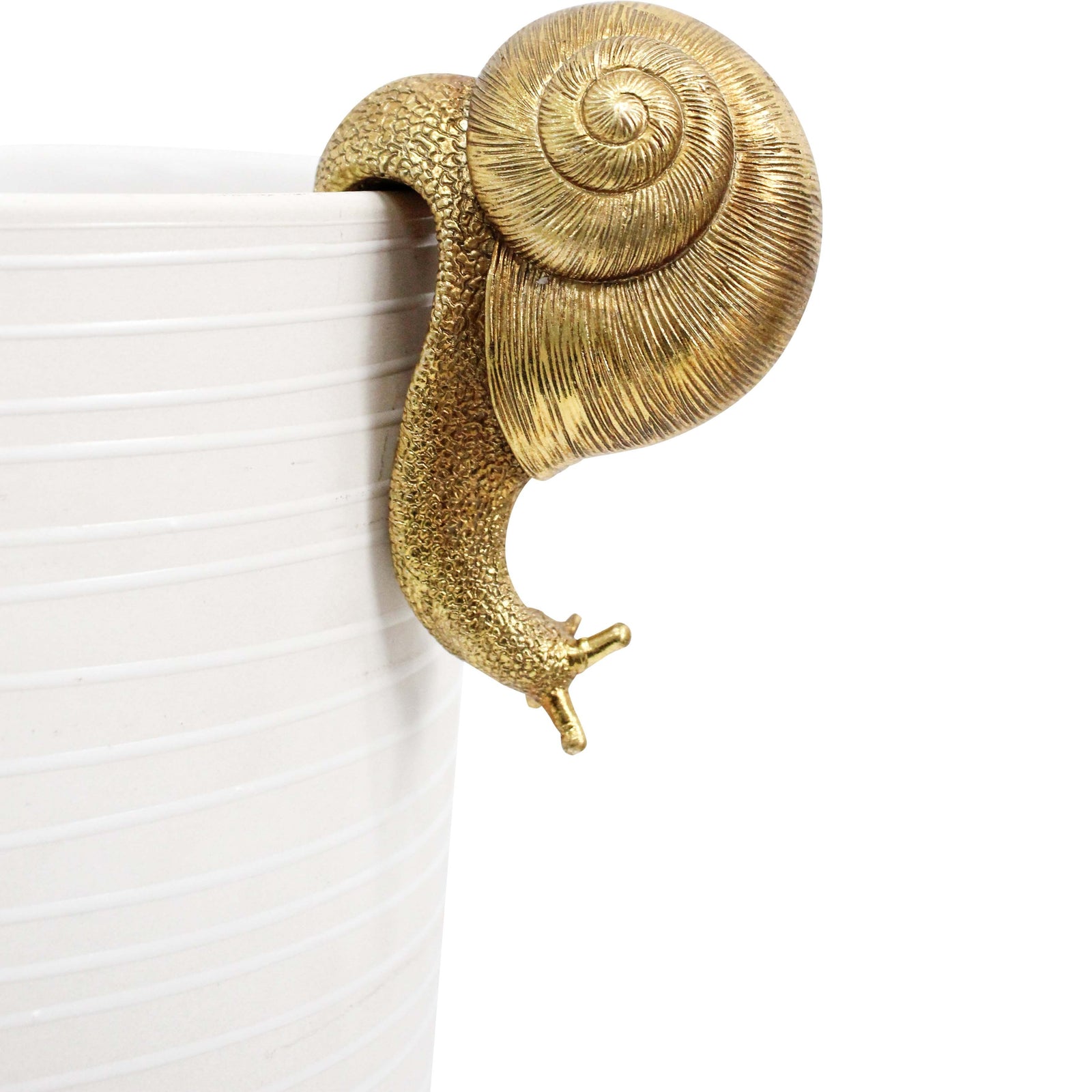 pot companion Snail Gold