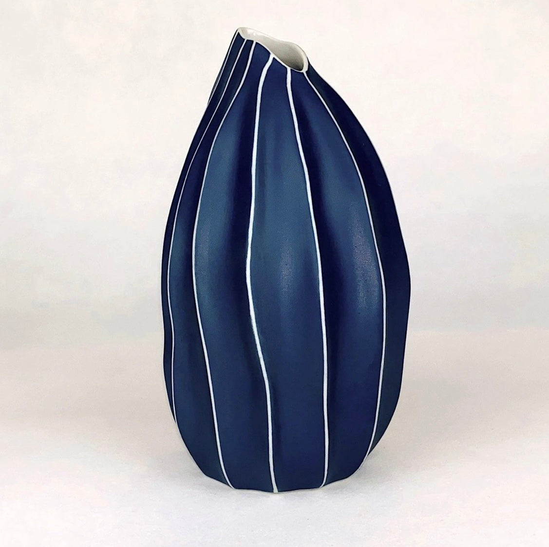 Coastal pod propagating vessel/vase